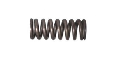 SHAFT HOUSING SPRING