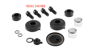 DUST RUBBER AND CAP SET