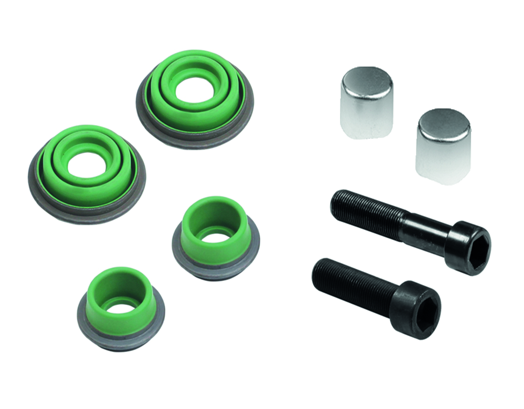 CALIPER DUST RUBBER AND BOLT SET