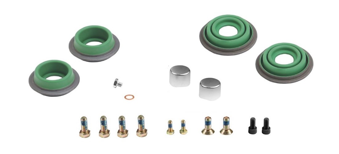 CALIPER DUST RUBBER AND BOLT SET