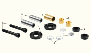 CALIPER DUST RUBBER & PIN SET